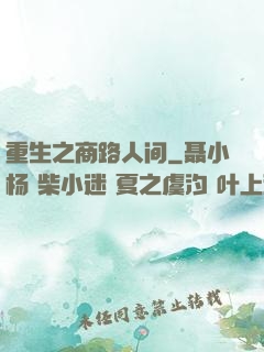 重生之商路人间